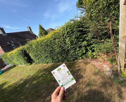 Hedge Trimming in Newhaven by First Choice Tree Surgeons